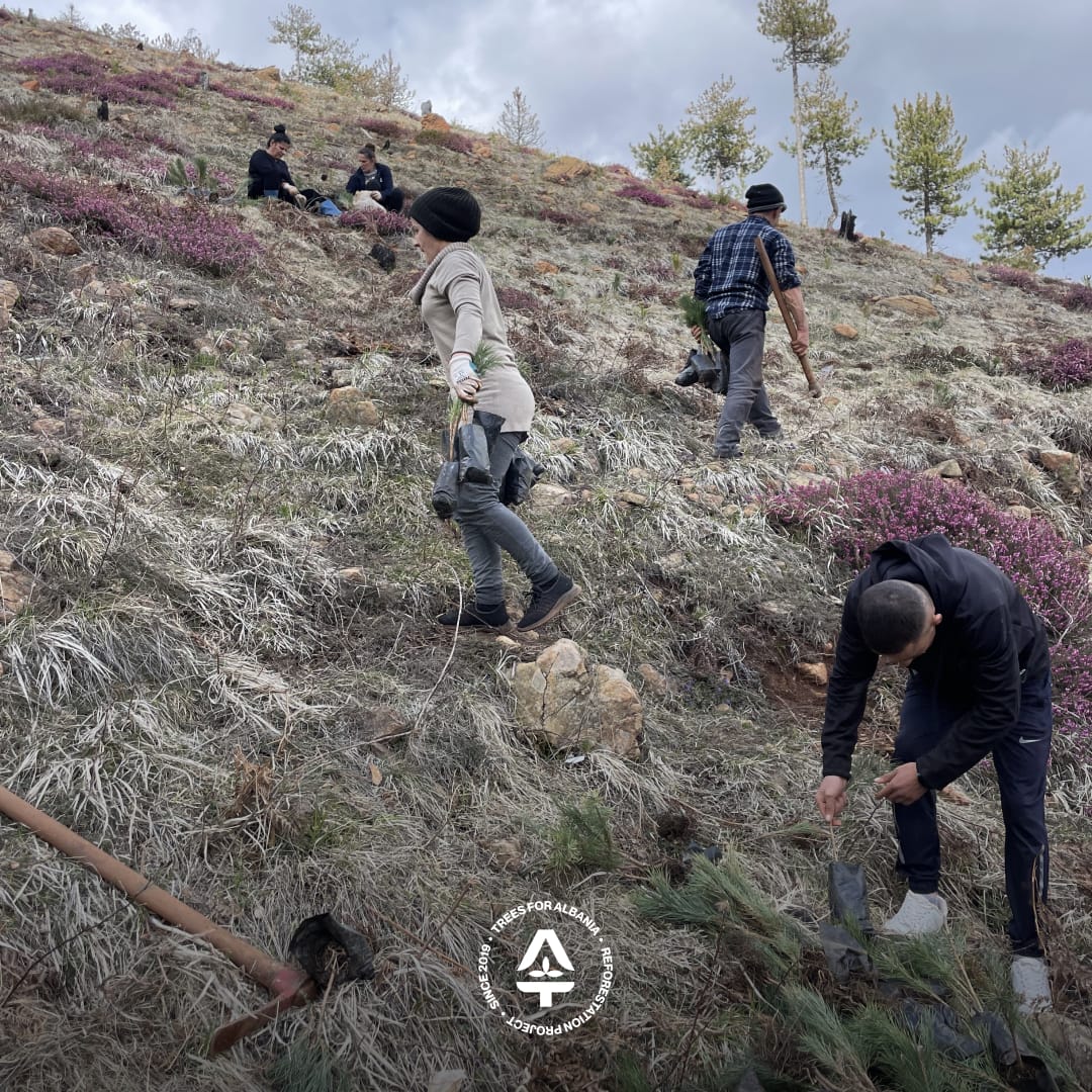 Women & Youth replanting