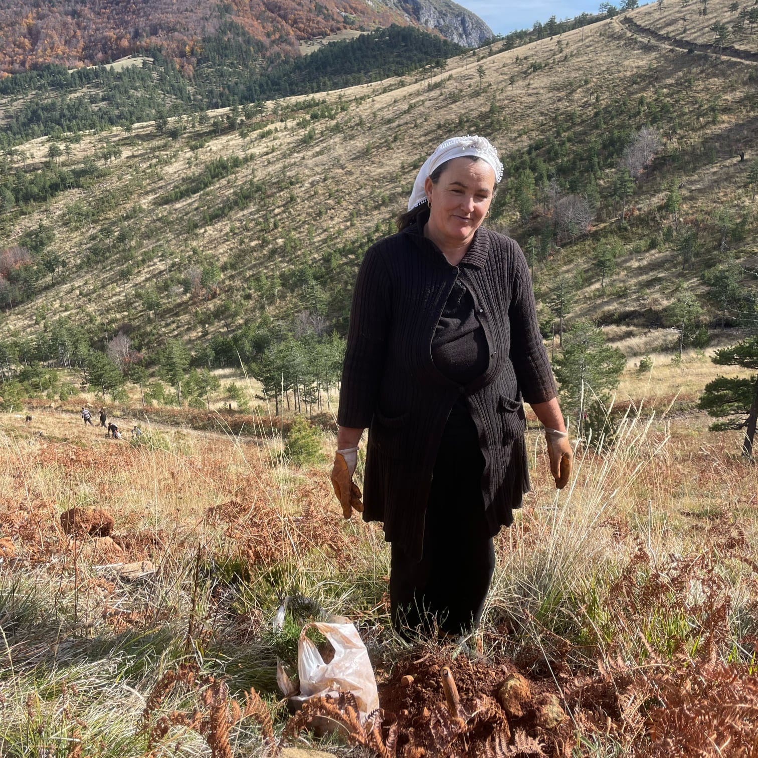 2023: Fatbardha during planting