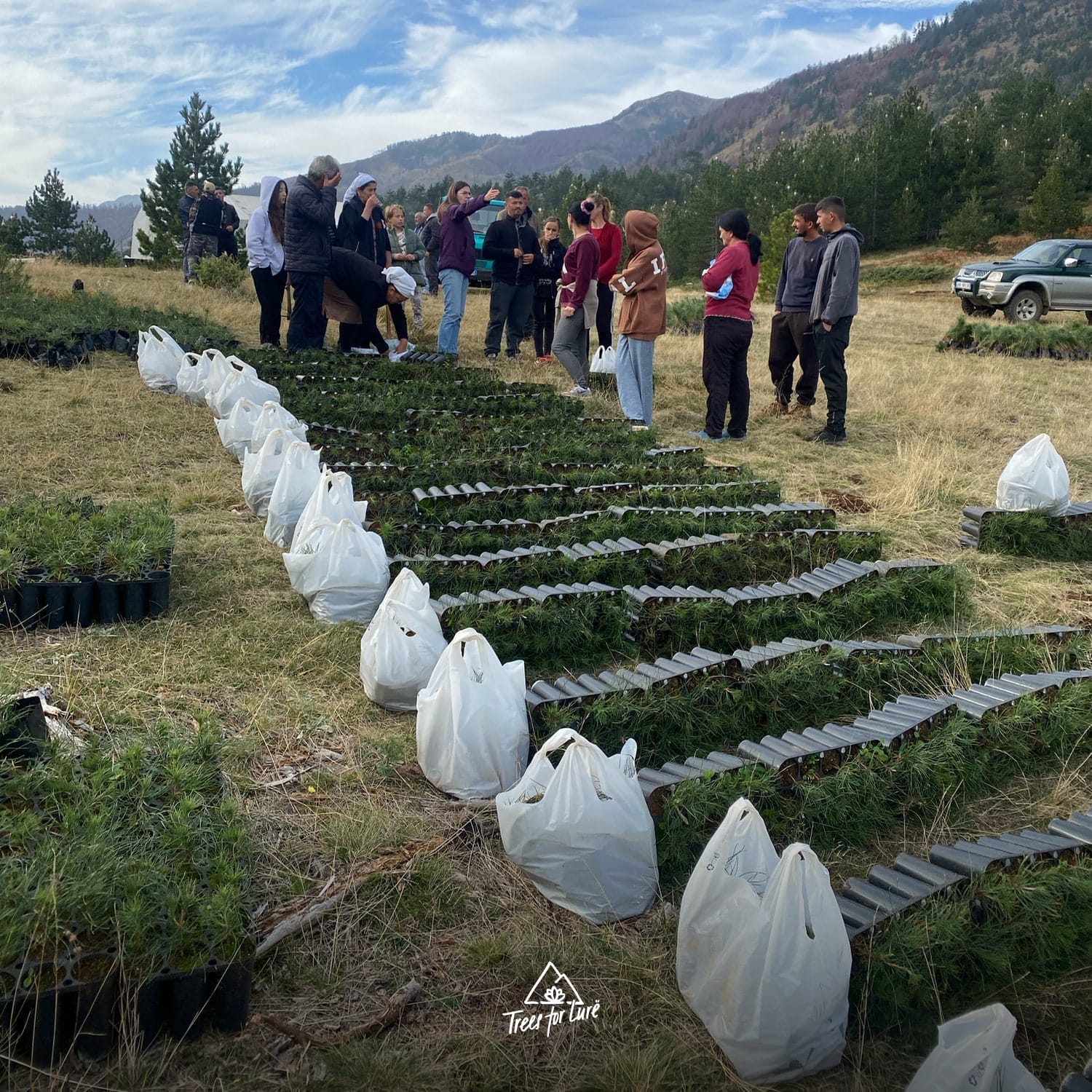2024: Saplings ready for planting
