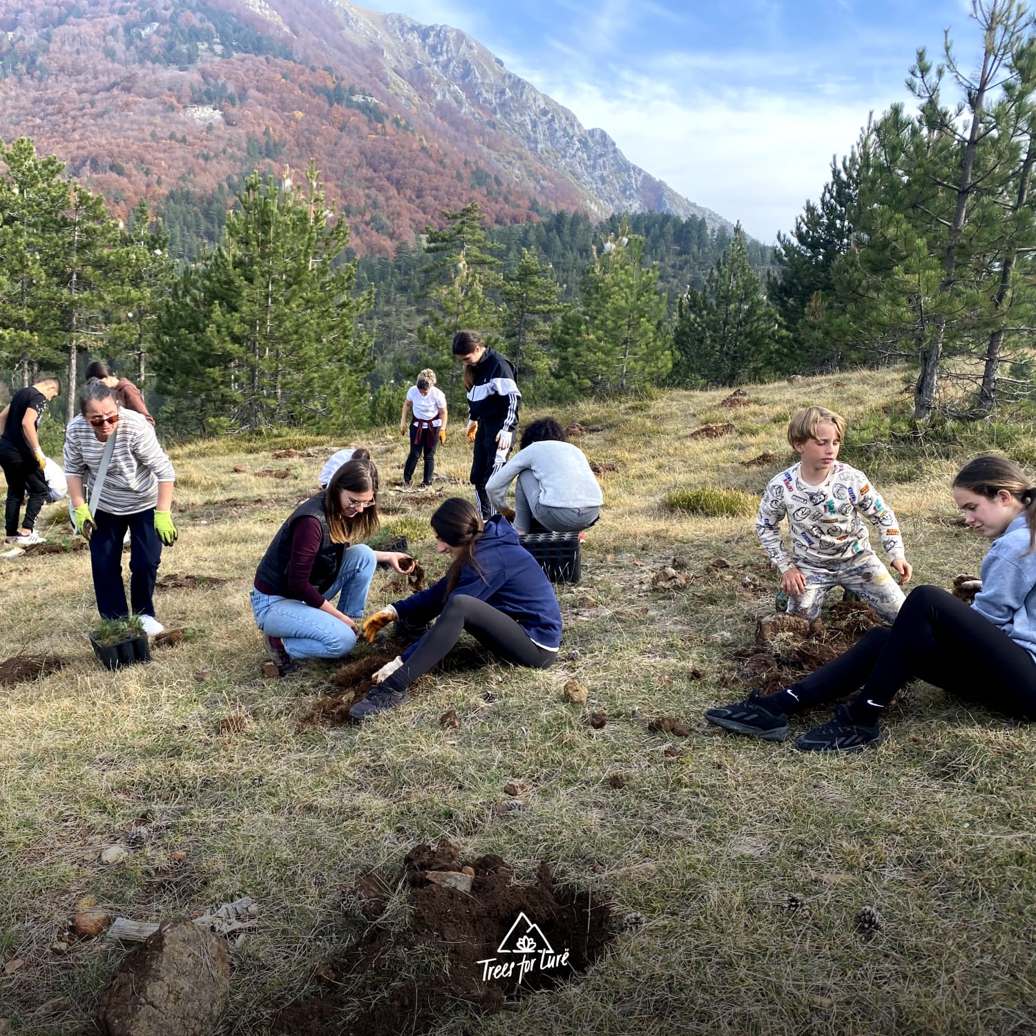 2024: Rrëshen school planting